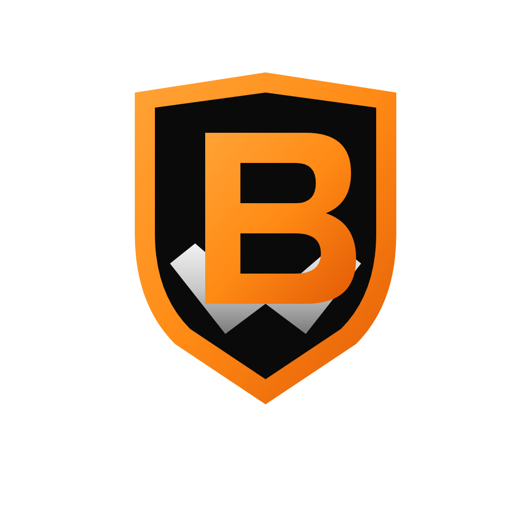 BaseNeed logo